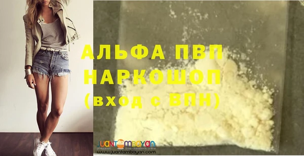 индика Белокуриха